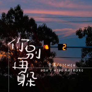 齐晨 - 你别再躲