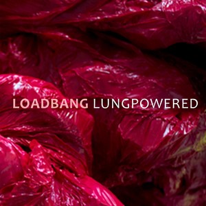 Chamber Music - LUNSQUI, A. / WORTHINGTON, S. / MINCEK, A. / FRANZSON, D.B. / FUTING, R. / LANG, William (Lungpowered) [loadbang]