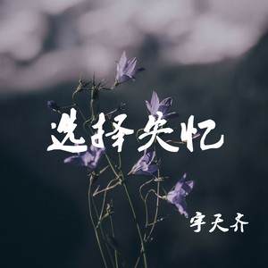 新欢渡旧爱