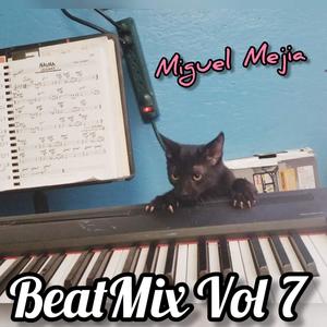 BeatMix, Vol. 7