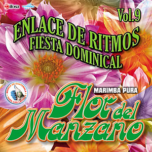 Enlace de Ritmos Vol. 9. Música de Guatemala para los Latinos