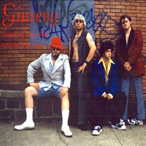 GinSeng - Invoice #e35