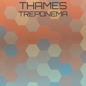 Thames Treponema