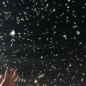 You Aren't All You Need