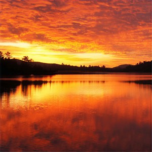 Dream Inspired By Impressions of Evening in Faro, Portugal (Live)