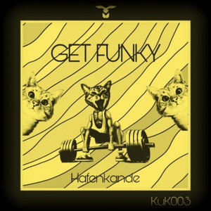 Get Funky (Original Mix)