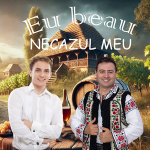 Eu Beau Necazul Meu