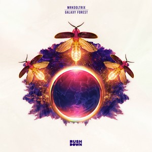 Galaxy Forest (Inst.)