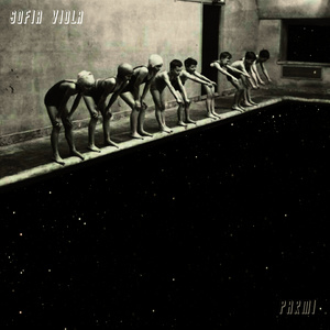 Vomite Mi Lengua en el Bidet