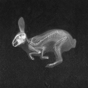 Kate's Interlude (feat. Jada Lynn) (Explicit)