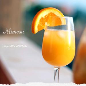 Mimosa (feat. Williflacko)