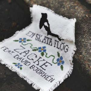 En skata flög (Inst.)