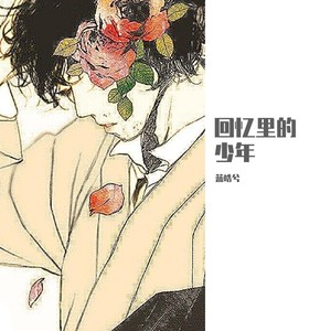 回忆里的少年