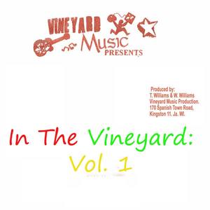 In The Vineyard: Vol. 1