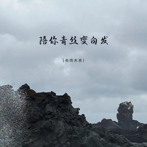 陪你青丝变白发 (伴奏)