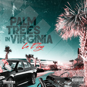 Palm Trees NVA (Explicit)