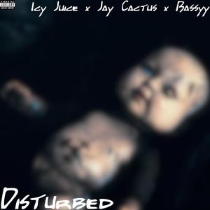 Disturbed (feat. Jay Cactus & Bassyy)