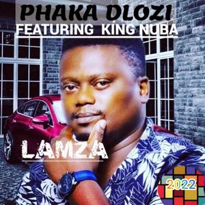 Phaka Dlozi (feat. KING NUBA) (Radio Edit)