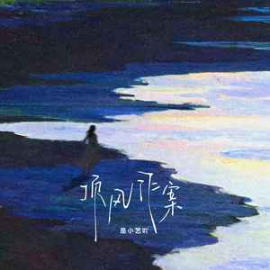 顶风作案 (伴奏)