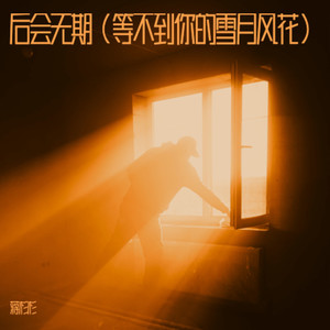 后会无期（等不到你的雪月风花）