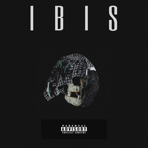 Drift (Explicit)