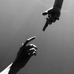 Wir Waren Nie (Explicit)