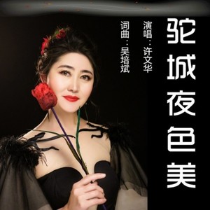 驼城夜色美 (伴奏)