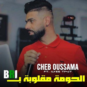 الحومة مقلوبة ب BRI