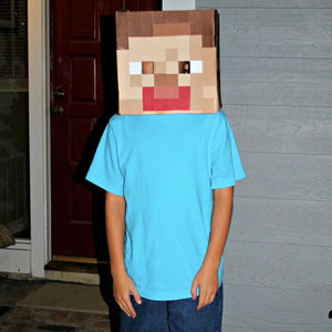 Steve From Minecraft