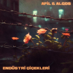 Endüstri Çiçekleri (Explicit)