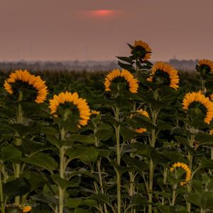 Shiverr (feat. Whize) (Explicit)