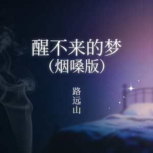 醒不来的梦 (烟嗓版)封面