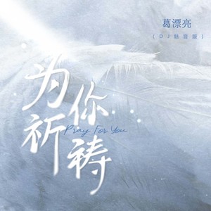 葛漂亮 - 为你祈祷 (DJ魅音版伴奏)