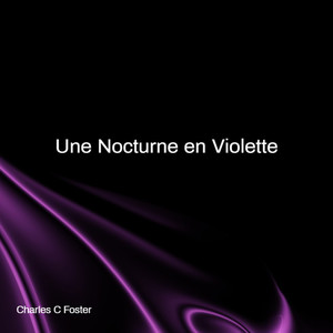 Une nocturne en violette