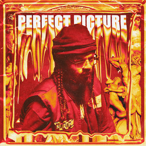 PERFECT PICTURE (Explicit)