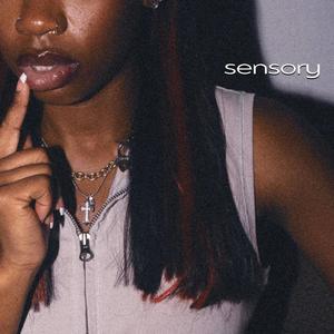 sensory (feat. Jay Prime) (Explicit)