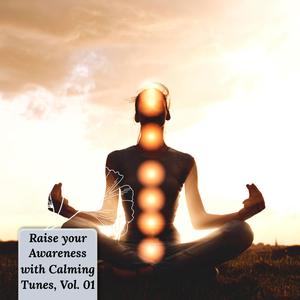 Raise Your Awareness With Calming Tunes, Vol. 01