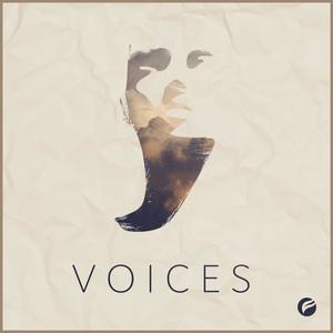 Voices (with Midnight Wolves) [feat. Matt Felix]