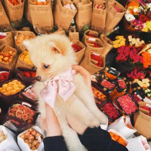 out of town (Explicit)