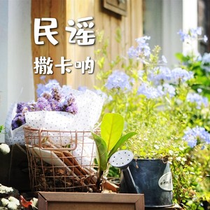 晚风轻起时封面