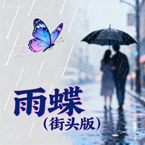 雨蝶 (街头版)