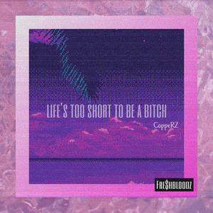 Lifes too short to be a *****