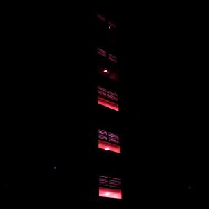 Nights Without You