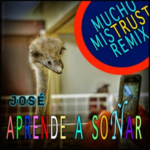 Aprende a Soñar (Mucho Mistrust Remix)