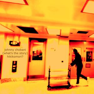 (What's the Story) Hikikomori? [Explicit]