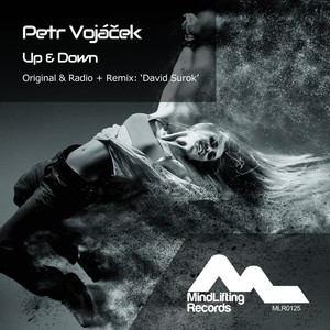 Up & Down (David Surok Radio Edit)