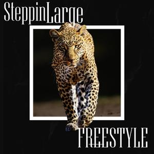 Freestyle (feat. Sir Gio, Mari baggz, Jjay, MBLivin, Yung Cee & C DaDon) (Explicit)