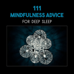 111 Mindfulness Advice for Deep Sleep – Clear Emotional Tension Before Sleep, Purification in Japanese Zen Garden, Balance Your Soul, Blissful Music for Cure Insomnia and Stress