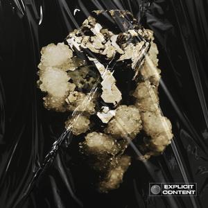 System(feat. 8TRED DA GR8) (Explicit)