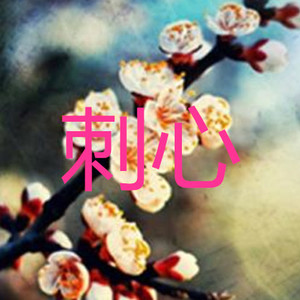 多年以后 (吉他版)